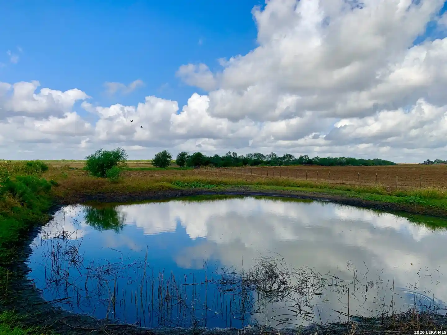 Photo 1 of Land for sale at 1152 A County Road 227, Falls City, TX 78113 | MLS# 1949469 | Listing updated on 2026-10-15