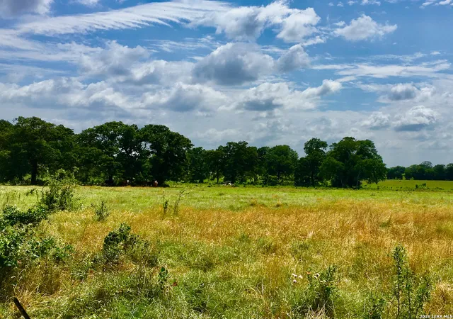 Photo 3 of House for sale at 1152 A County Road 227, Falls City, TX 78113 | MLS# 1949469 | Listing updated on 2026-07-21