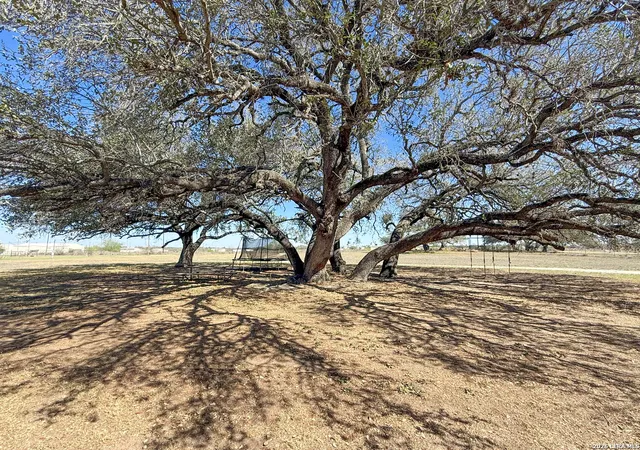 31st image of 228 County Road 7711, Devine, TX 78016 | MLS# 1949624
