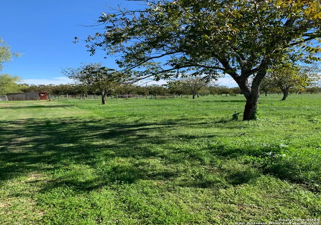 4th image of 263 Krams Creek, Seguin, TX 78155 | MLS# 1949746