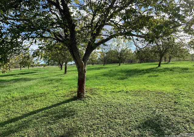 5th image of 263 Krams Creek, Seguin, TX 78155 | MLS# 1949746