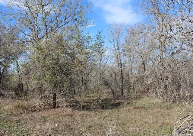 Photo 2 of Land for sale at 0 Tbd Mathis, Elmendorf, TX 78112 | MLS# 1950238 | Listing updated on 2026-04-04
