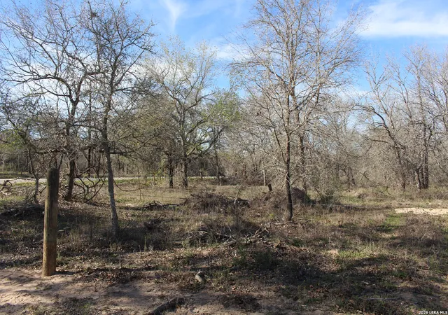 Photo 3 of Land for sale at 0 Tbd Mathis, Elmendorf, TX 78112 | MLS# 1950238 | Listing updated on 2026-04-04