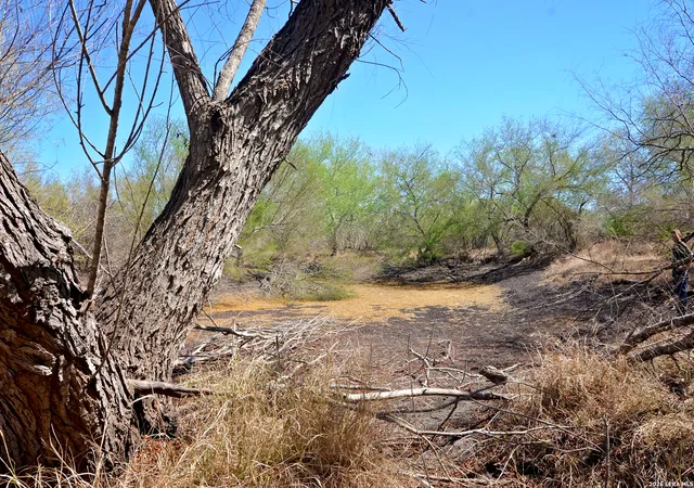 3rd image of 4972 County Road 324, Beeville, TX 78102 | MLS# 1950487