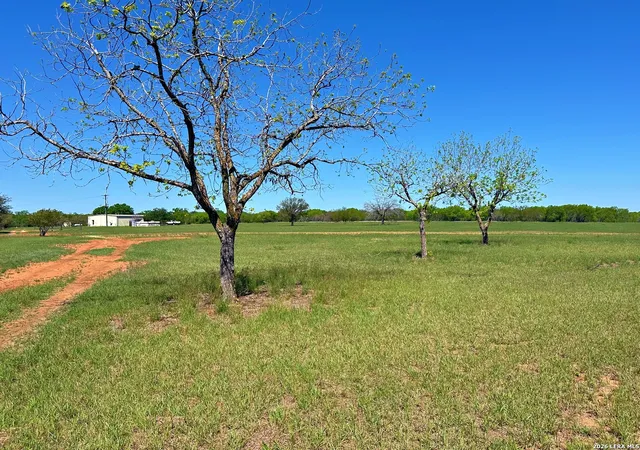 1st image of 3265 Hwy 97, Jourdanton, TX 78026 | MLS# 1950739