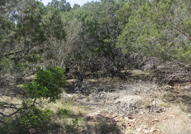 3rd image of 189 Agarita South, Concan, TX 78879 | MLS# 1950764