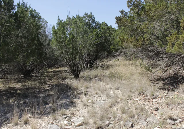 4th image of 189 Agarita South, Concan, TX 78879 | MLS# 1950764