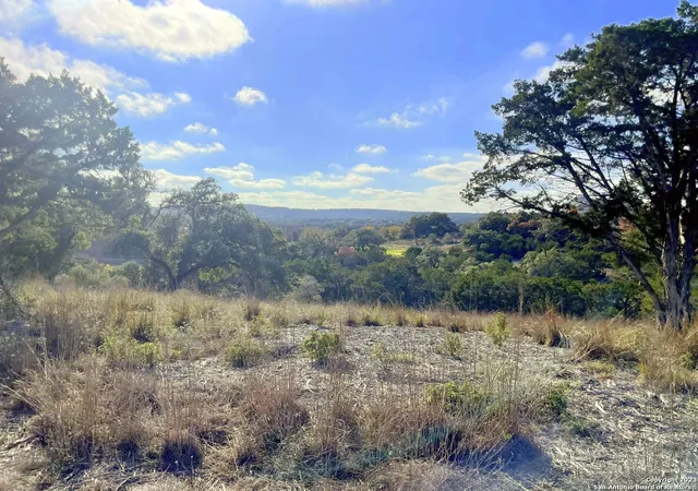 1st image of 150 Riddle, Spring Branch, TX 78070 | MLS# 1950822