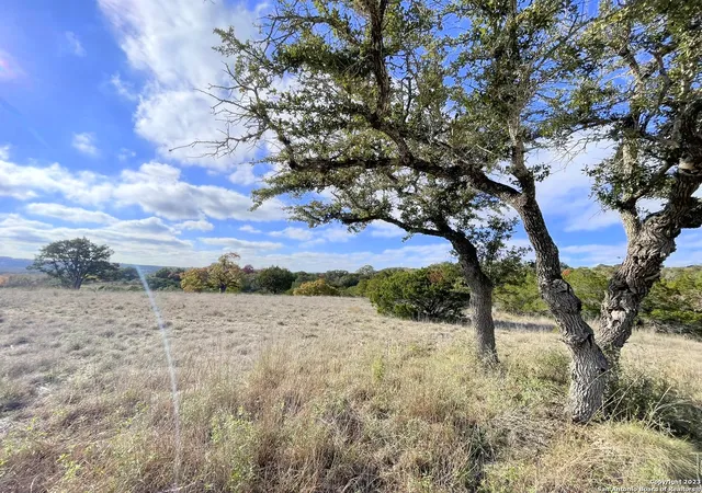 3rd image of 150 Riddle, Spring Branch, TX 78070 | MLS# 1950822