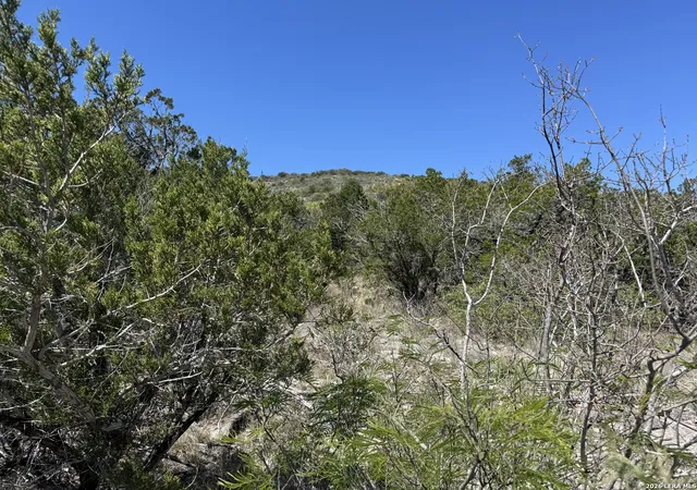 4th image of 2325 Private Road 2700, Uvalde, TX 78801 | MLS# 1950978