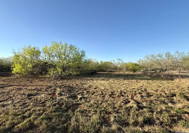 5th image of 2175 County Road 332, Charlotte, TX 78011 | MLS# 1951110