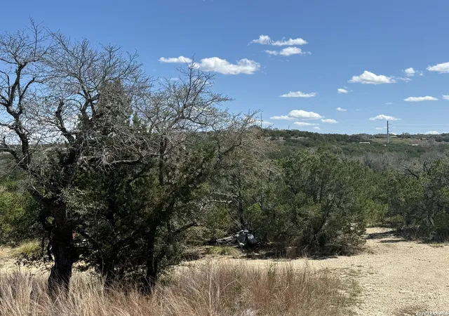 1st image of 100 Manana, Blanco, TX 78606 | MLS# 1951136