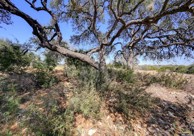 27th image of 425 George Dolson, Blanco, TX 78606 | MLS# 1951167