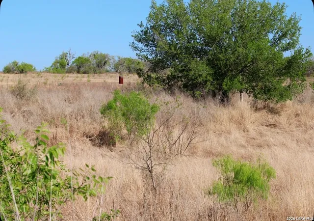 15th image of 435 County Road 7715, Devine, TX 78016 | MLS# 1951205
