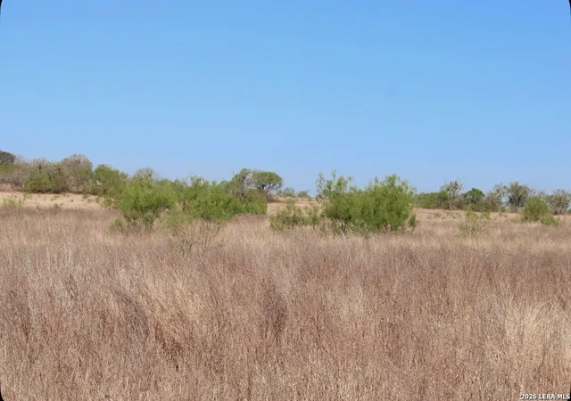 2nd image of 435 County Road 7715, Devine, TX 78016 | MLS# 1951205