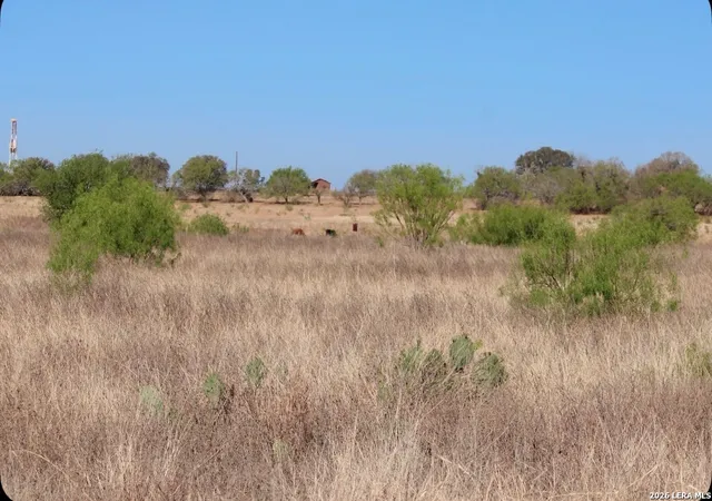 4th image of 435 County Road 7715, Devine, TX 78016 | MLS# 1951205