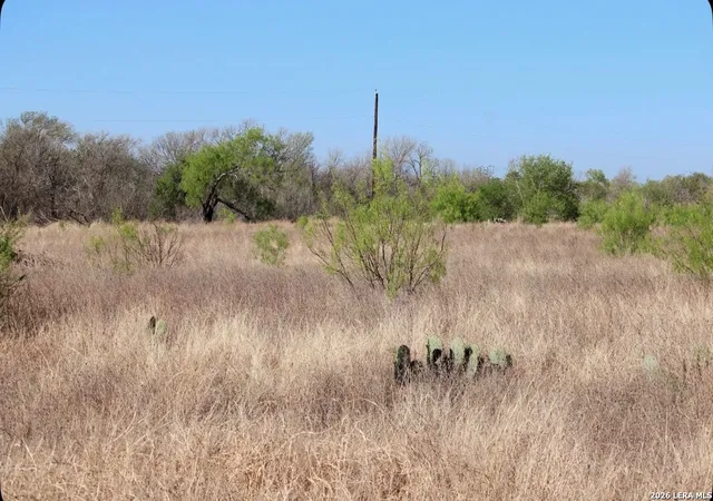 5th image of 435 County Road 7715, Devine, TX 78016 | MLS# 1951205
