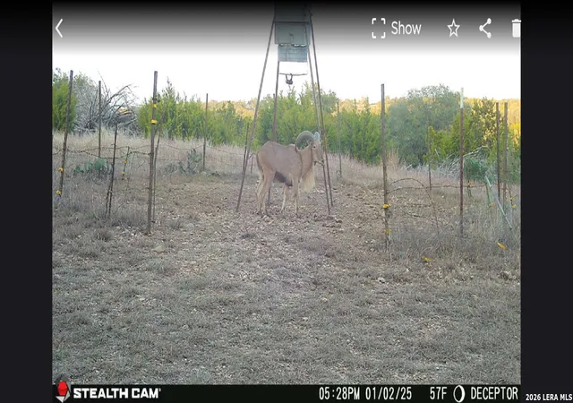31st image of 2633 Jackson Creek, Medina, TX 78055 | MLS# 1951226