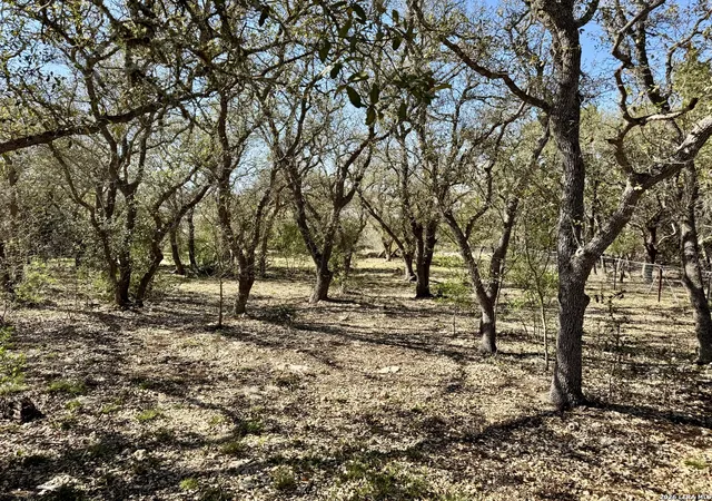 Photo 42 of Single family home for sale at 1351 Heritage, Canyon Lake, TX 78133 | MLS# 1951377 | Listing updated on 2026-03-30