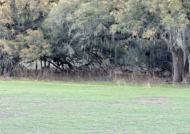 Photo 3 of Land for sale at 638 Cool Spring Dr, Spring Branch, TX 78070 | MLS# 1951420 | Listing updated on 2026-04-03
