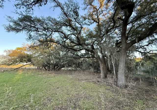 Photo 3 of Land for sale at 638 Cool Spring Dr, Spring Branch, TX 78070 | MLS# 1951420 | Listing updated on 2026-04-03
