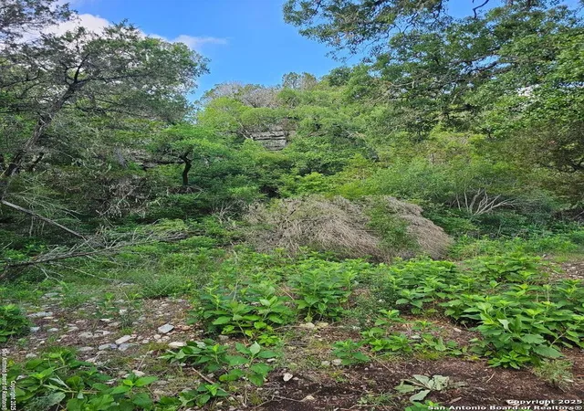 Photo 4 of Land for sale at 0 Happy Hollow, New Braunfels, TX 78132 | MLS# 1951424 | Listing updated on 2026-09-13