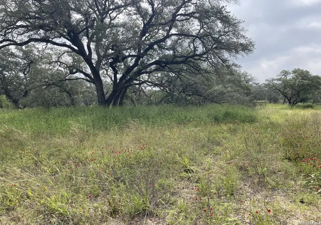 2nd image of Tract#8 1231a County Road 777, Devine, TX 78016 | MLS# 1951429