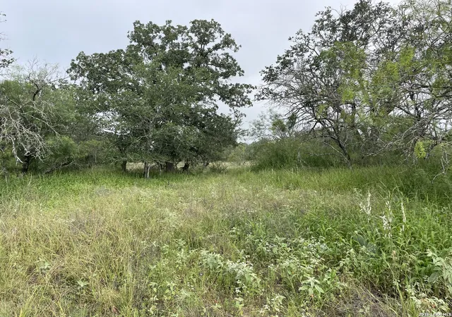 3rd image of Tract#8 1231A County Road 777, Devine, TX 78016 | MLS# 1951429