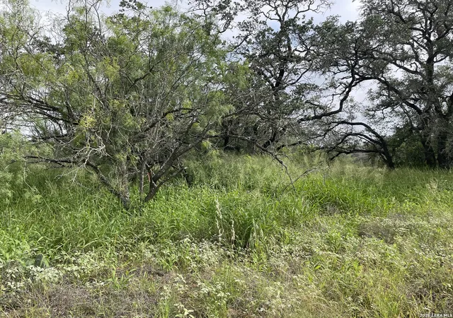 4th image of Tract#8 1231A County Road 777, Devine, TX 78016 | MLS# 1951429