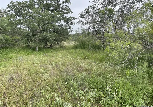 5th image of Tract#8 1231A County Road 777, Devine, TX 78016 | MLS# 1951429