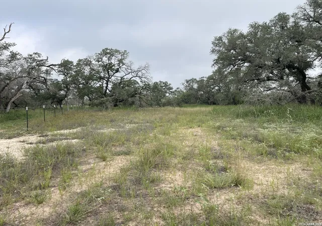 9th image of Tract#8 1231a County Road 777, Devine, TX 78016 | MLS# 1951429