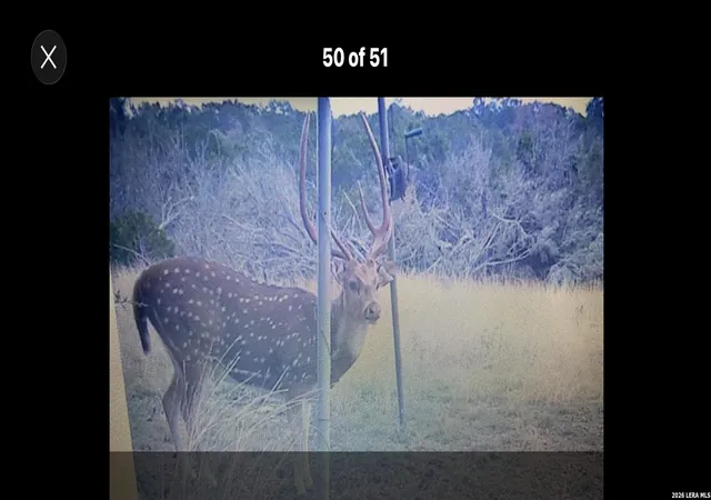Photo 1 of Land for sale at 462 Schenk Witkowski, Rocksprings, TX 78880 | MLS# 1951445 | Listing updated on 2026-09-16