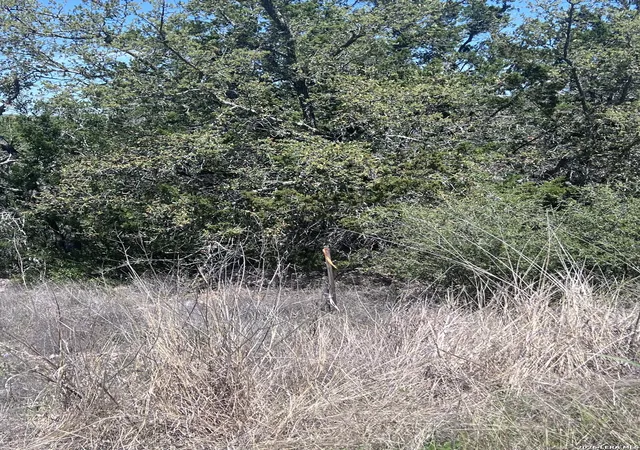 4th image of 322 County Road 2481, Hondo, TX 78861 | MLS# 1951621