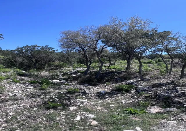 7th image of 322 County Road 2481, Hondo, TX 78861 | MLS# 1951621
