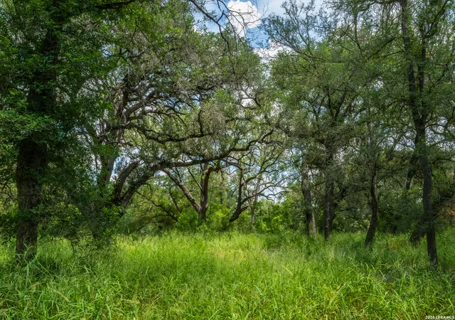 Photo 4 of House for sale at 994 Marburger, Crystal City, TX 78839 | MLS# 1951623 | Listing updated on 2026-08-10