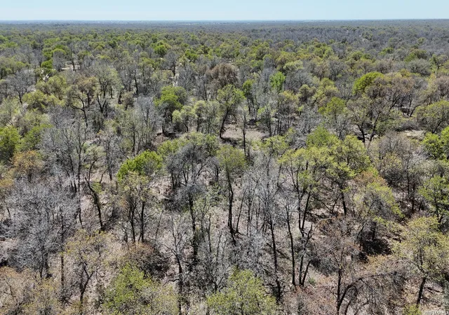 Photo 2 of Land for sale at Tbd Trumbo Rd, Pleasanton, TX 78065 | MLS# 1951689 | Listing updated on 2026-05-18