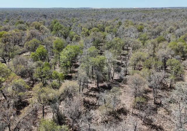 Photo 3 of Land for sale at Tbd Trumbo Rd, Pleasanton, TX 78065 | MLS# 1951689 | Listing updated on 2026-05-18