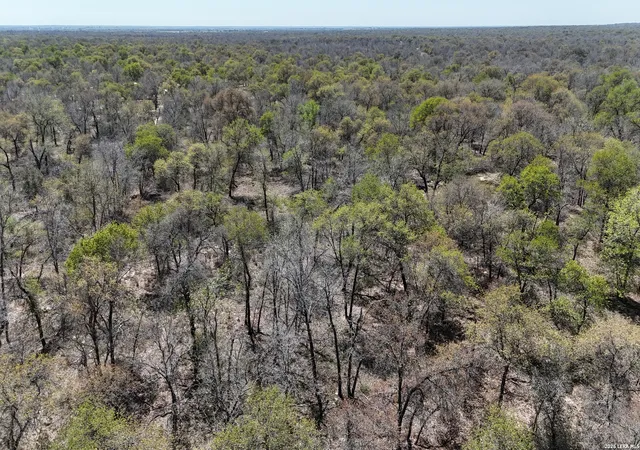Photo 4 of Land for sale at Tbd Trumbo Rd, Pleasanton, TX 78065 | MLS# 1951689 | Listing updated on 2026-05-18