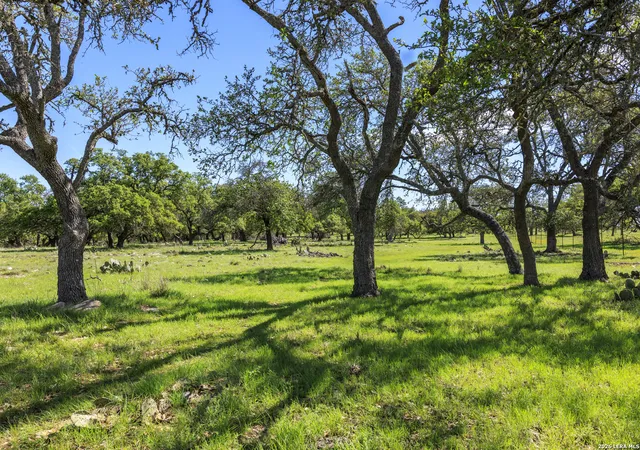 12th image of 283 Dally Road, Fredericksburg, TX 78624 | MLS# 1951902