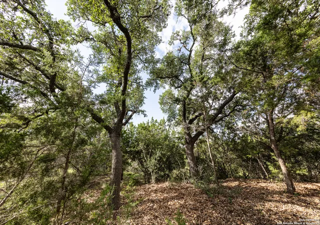 Photo 3 of Land for sale at 376 Charon Point, Spring Branch, TX 78070 | MLS# 1952279 | Listing updated on 2026-04-06