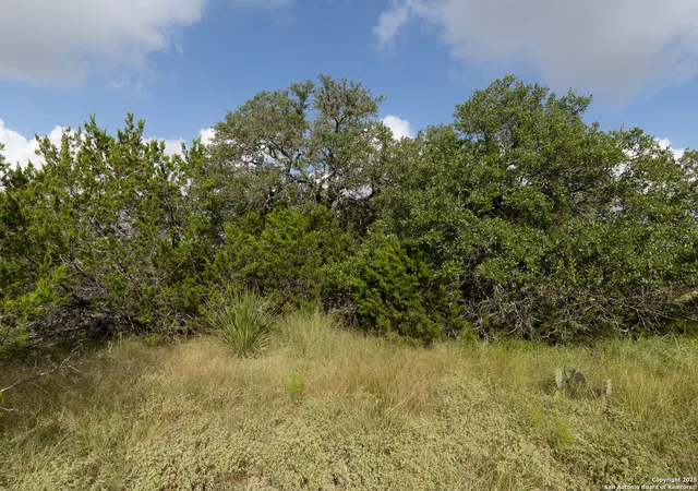 Photo 4 of Land for sale at 376 Charon Point, Spring Branch, TX 78070 | MLS# 1952279 | Listing updated on 2026-04-06