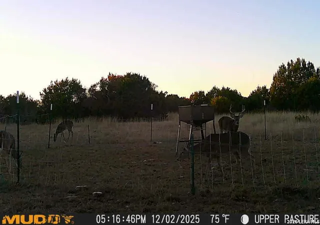 16th image of 1985 Kc 443, Harper, TX 78631 | MLS# 1952333