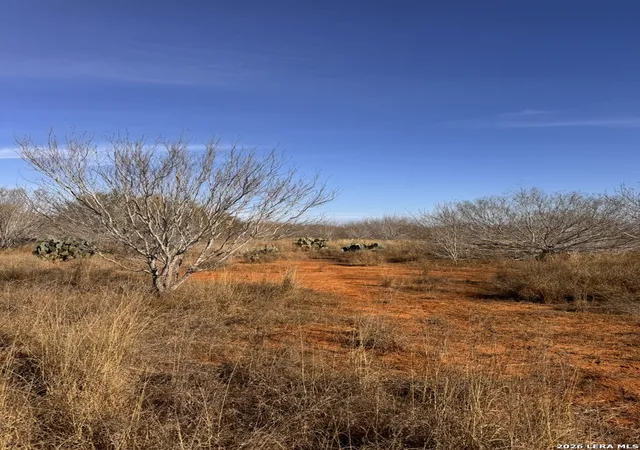 Photo 2 of Land for sale at Tr 1 W Hwy 85, Dilley, TX 78017 | MLS# 1952555 | Listing updated on 2026-04-06