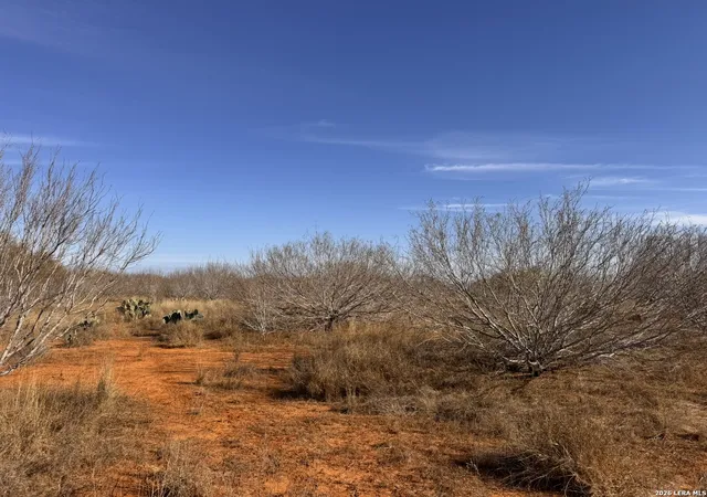Photo 3 of Land for sale at Tr 1 W Hwy 85, Dilley, TX 78017 | MLS# 1952555 | Listing updated on 2026-04-06
