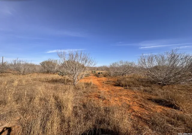 Photo 3 of Land for sale at Tr 1 W Hwy 85, Dilley, TX 78017 | MLS# 1952555 | Listing updated on 2026-04-06