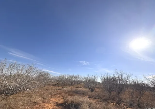 Photo 4 of Land for sale at Tr 1 W Hwy 85, Dilley, TX 78017 | MLS# 1952555 | Listing updated on 2026-04-06