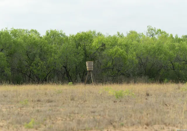 Photo 1 of Land for sale at 872 Rodriguez, Pleasanton, TX 78064 | MLS# 1952786 | Listing updated on 2026-04-22