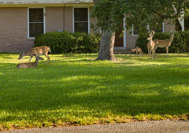 47th image of 113 Timber Lane Loop, Rockport, TX 78382 | MLS# 1953038