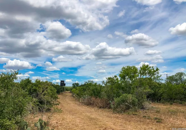 29th image of 1180 Cr 340, Jourdanton, TX 78026 | MLS# 1953141