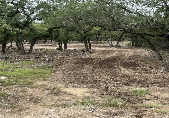 Photo 4 of Land for sale at 970 W Branch, Spring Branch, TX 78070 | MLS# 1953312 | Listing updated on 2026-10-19